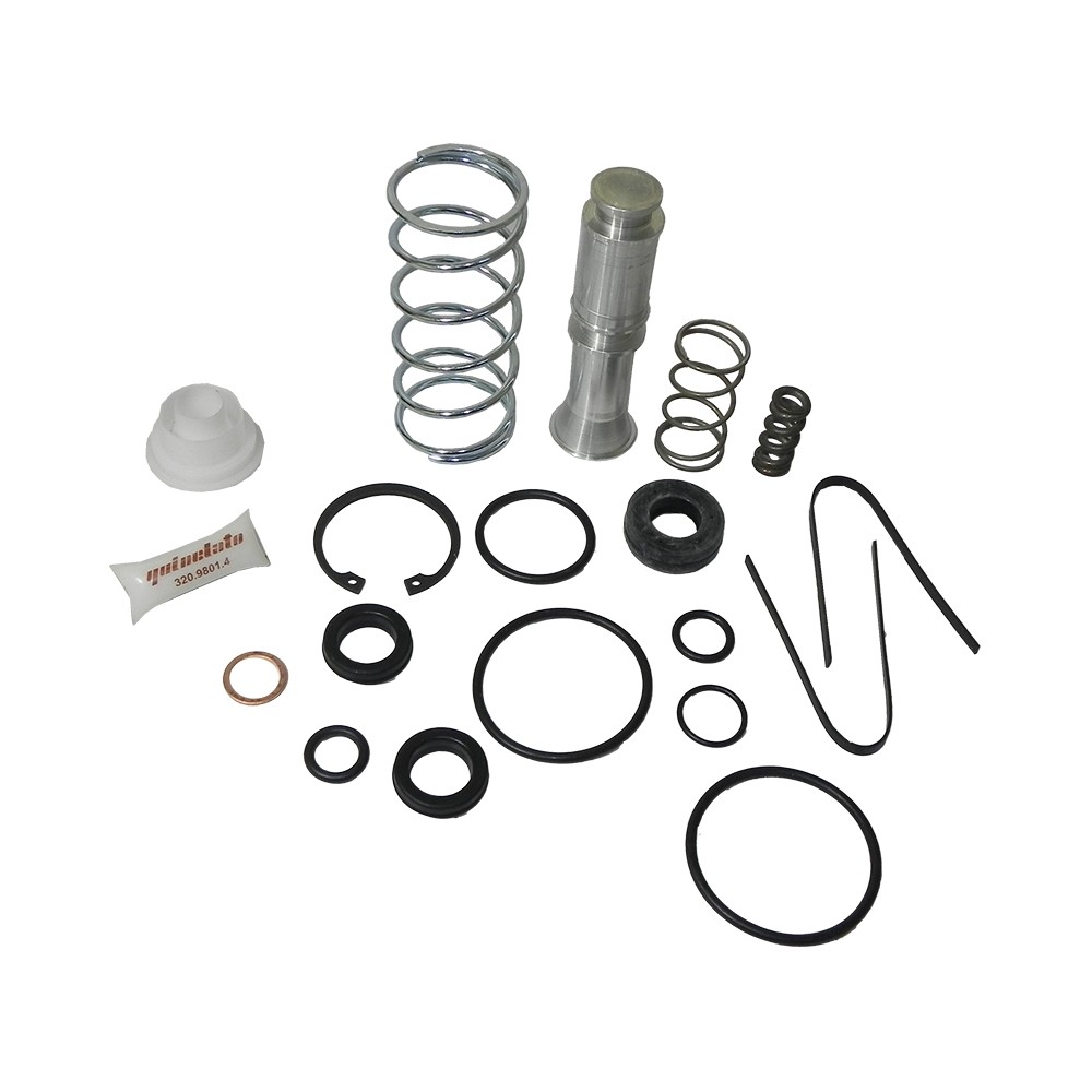 REPARACION SERVO MIDI IVECO TECTOR SM1A