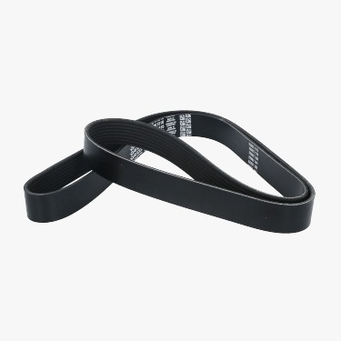[8511/5 8PK1510] CORREA 8PK1510