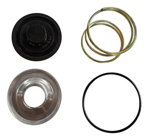 [0074 /23 - R1691] REPARACION VALVULA DESCARGA RAPIDA EJE ELEVADO